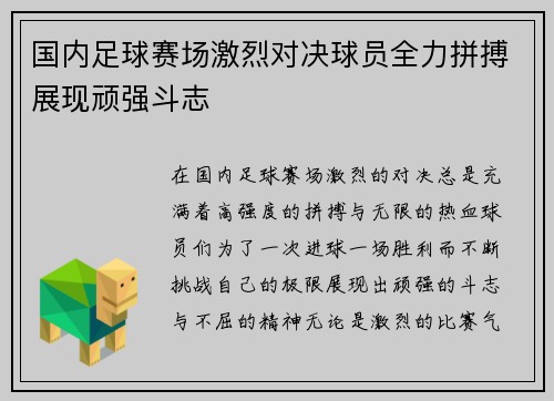 国内足球赛场激烈对决球员全力拼搏展现顽强斗志