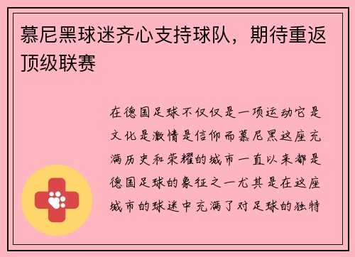 慕尼黑球迷齐心支持球队，期待重返顶级联赛